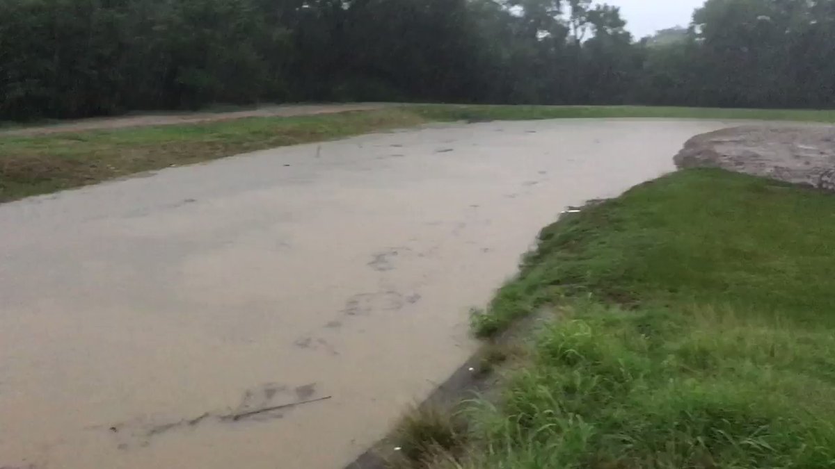 Buffalo Bayou at Kingsland Blvd.   