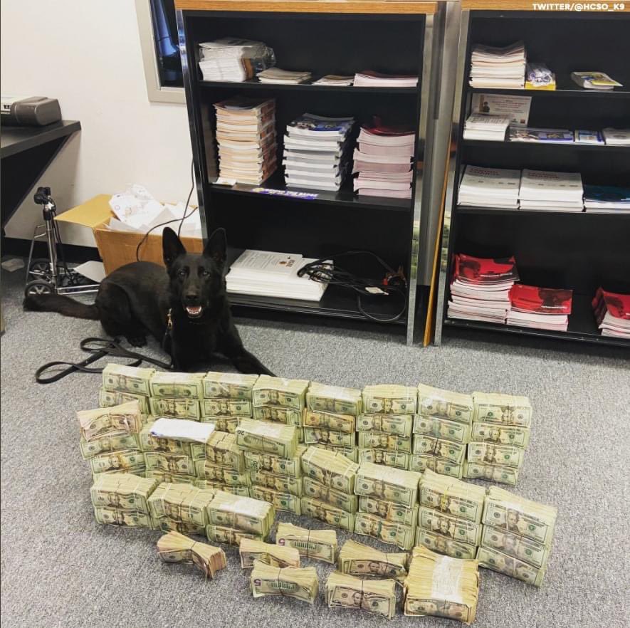 K9 Grizly with the Harris County Sheriff's Office. He had quite a day helping with a narcotics seizure worth about $1.1 million. That's some haul, 