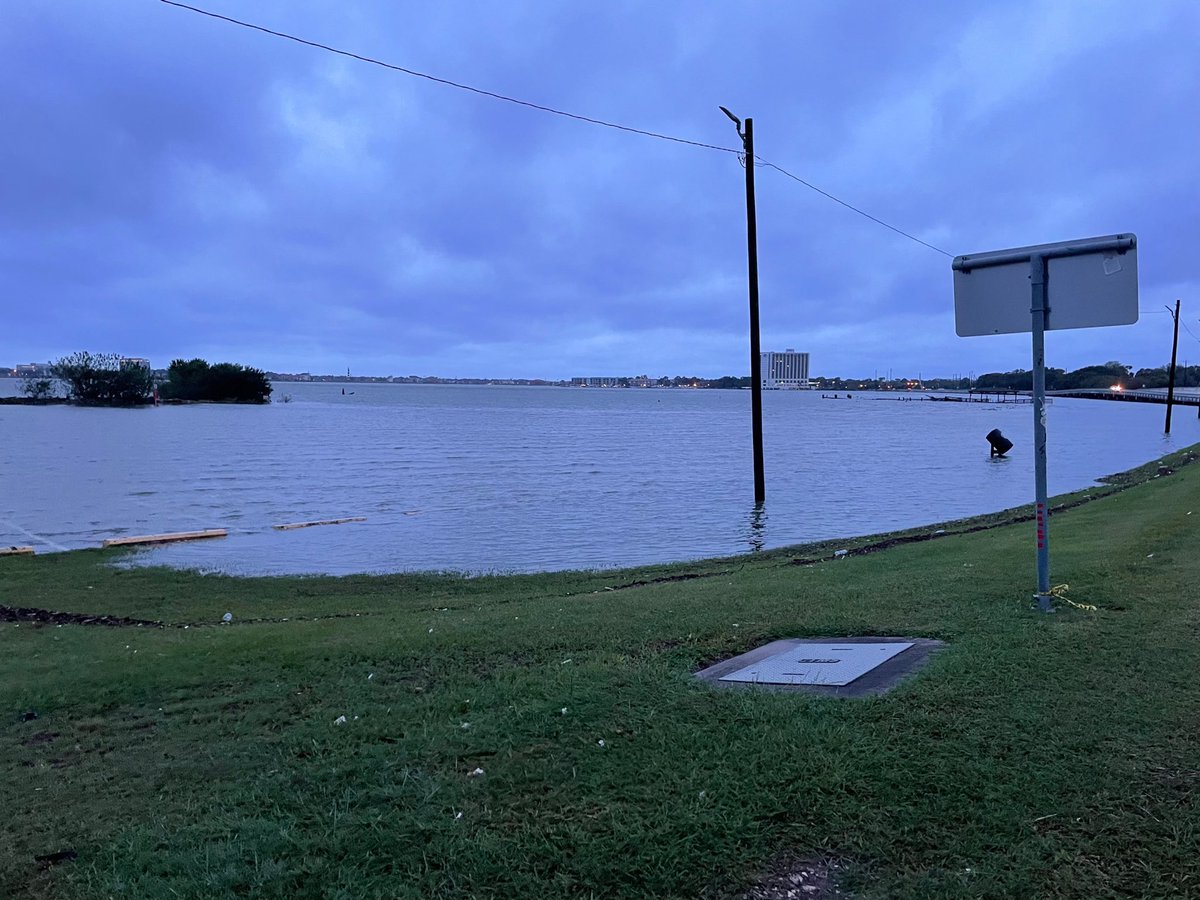 Teams are out surveying different areas around the precinct. These are a few images from our Clear Lake Park boat ramp