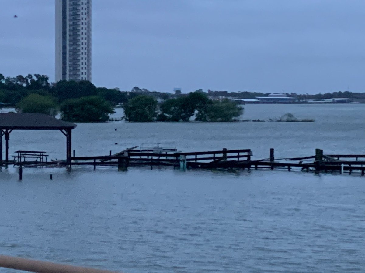 Teams are out surveying different areas around the precinct. These are a few images from our Clear Lake Park boat ramp