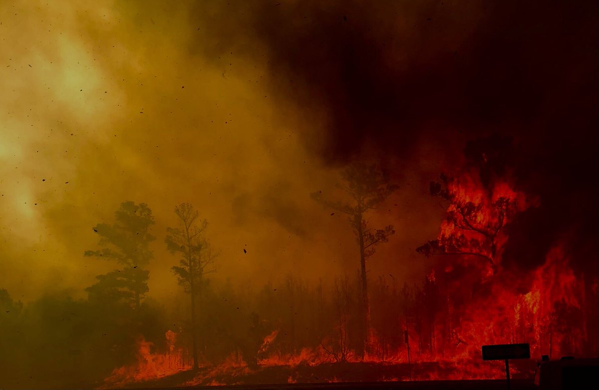 RollingPinesFire has tamed with much lighter winds as compared to a few hours ago.   Fire fighters able to attack from close range now.  No update on containment. SH21 remains closed  from FM1441  to  South Shore Road