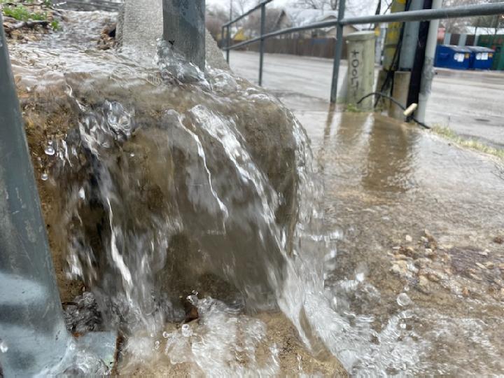 Ice did in Austin. his tree fell at the Oak Park Apts on W Duval