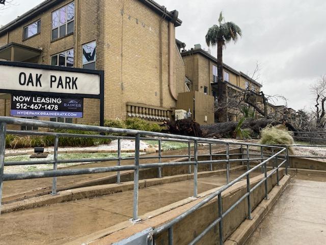 Ice did in Austin. his tree fell at the Oak Park Apts on W Duval