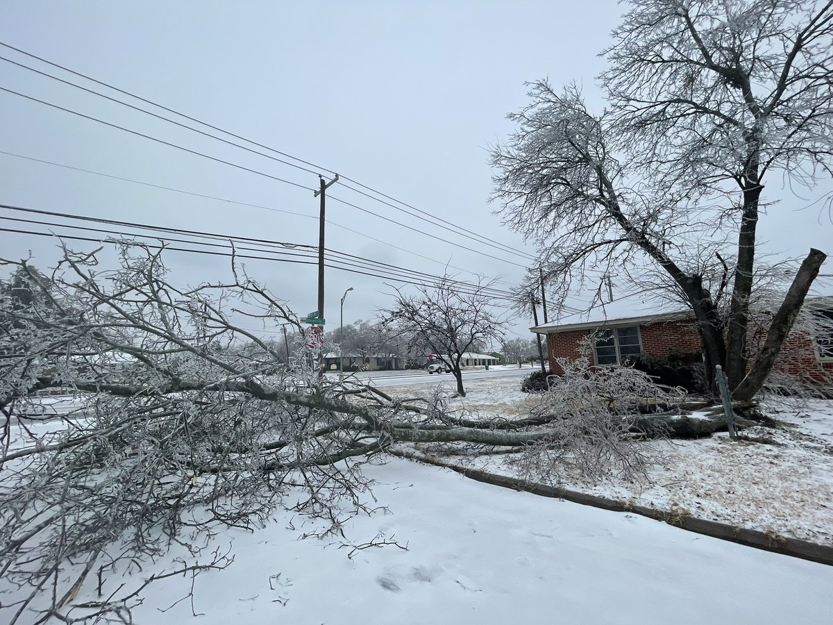 Tree snapped, blocking West Way by University in McKinney