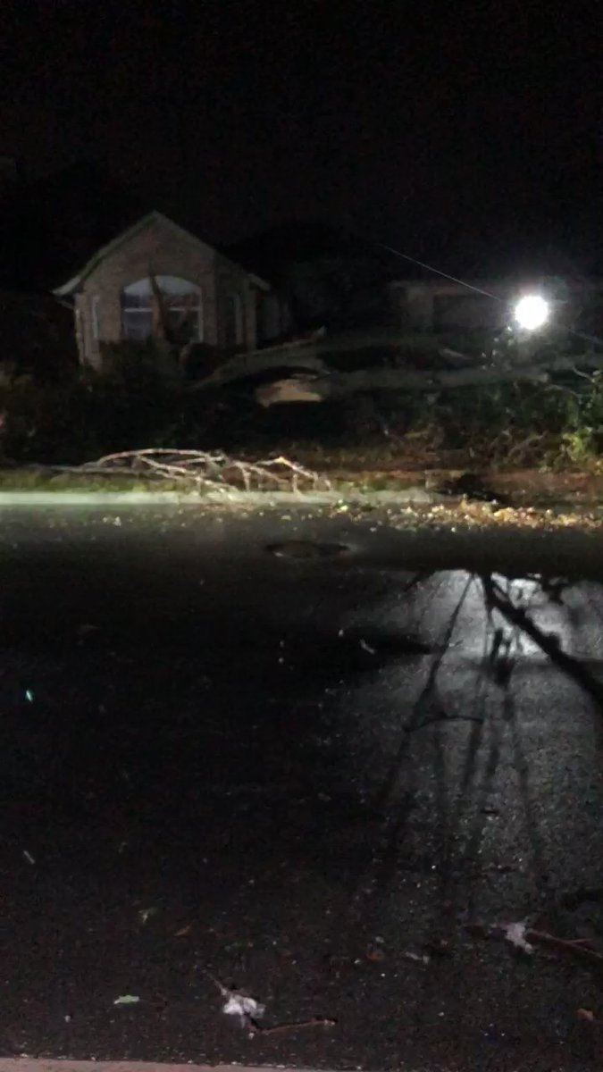 Crews in Round Rock cleaning up downed trees after today's tornado