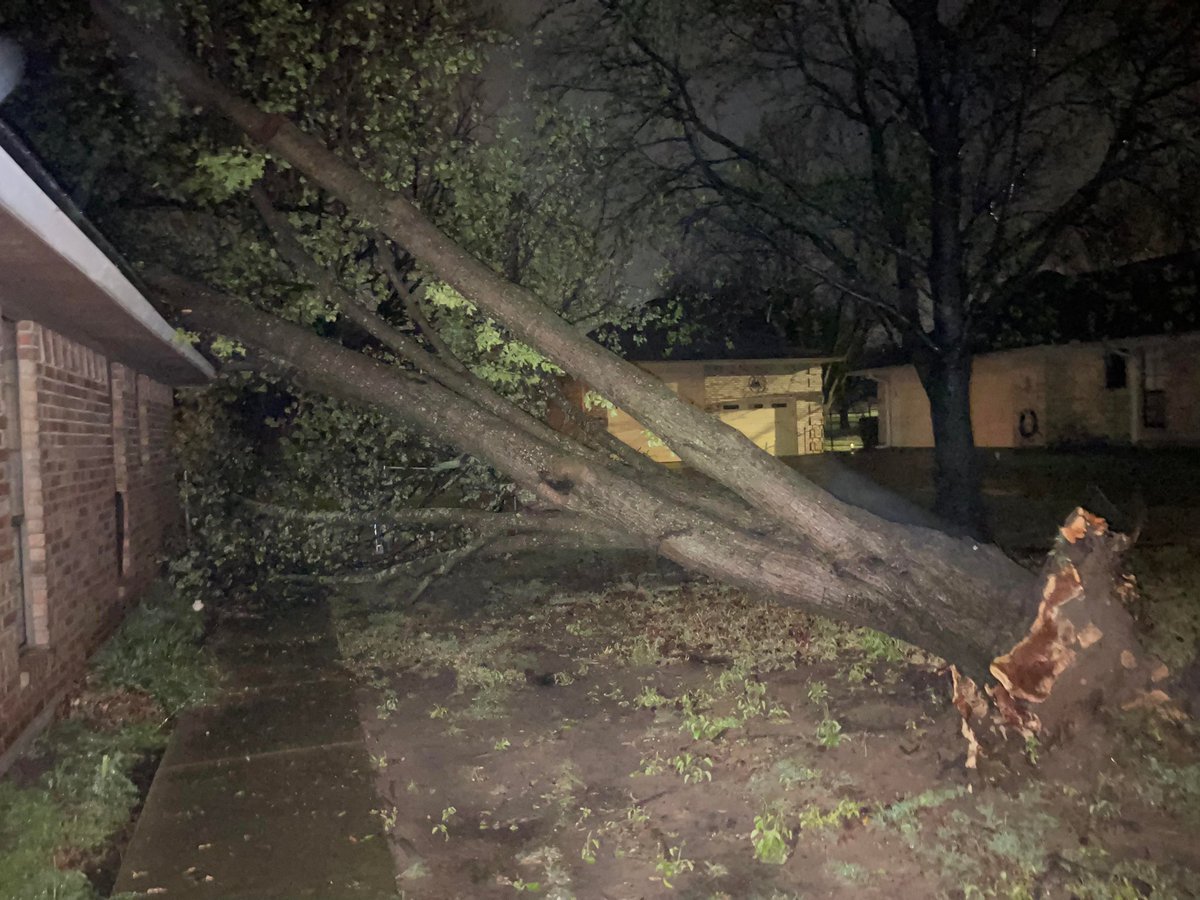 Minor tree damage on Bent Tree Trail east of Briaroaks in Johnson County.