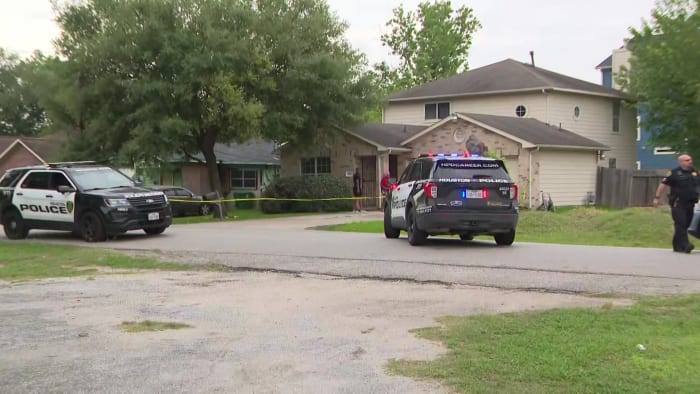 Man in custody after shooting aunt in leg during domestic dispute on Houston's south side, police say