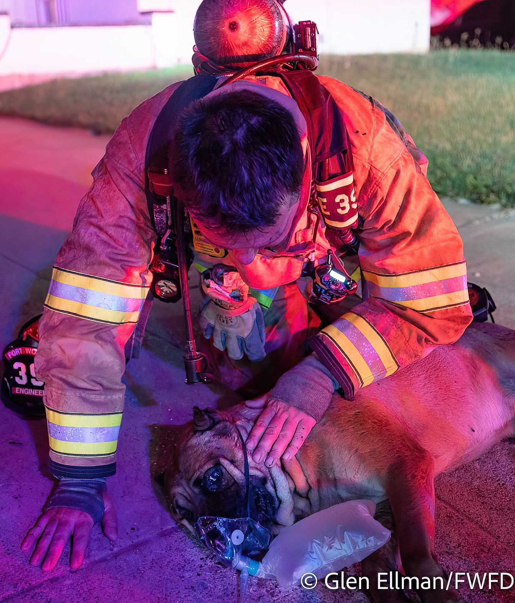 At 3:30AM, FWFD responded to a house fire in the 7300 block of S. Ridge Trail in FortWorth. E29 was first on scene & saw heavy fire coming from the home. Everyone made it out but the family dog needed immediate medical attention. The dog, named Slime, was unresponsive