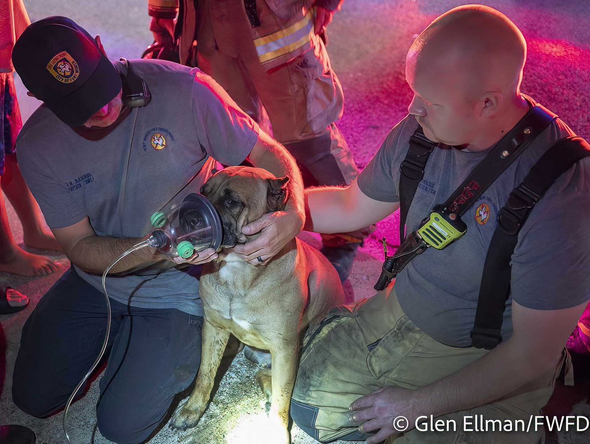 At 3:30AM, FWFD responded to a house fire in the 7300 block of S. Ridge Trail in FortWorth. E29 was first on scene & saw heavy fire coming from the home. Everyone made it out but the family dog needed immediate medical attention. The dog, named Slime, was unresponsive