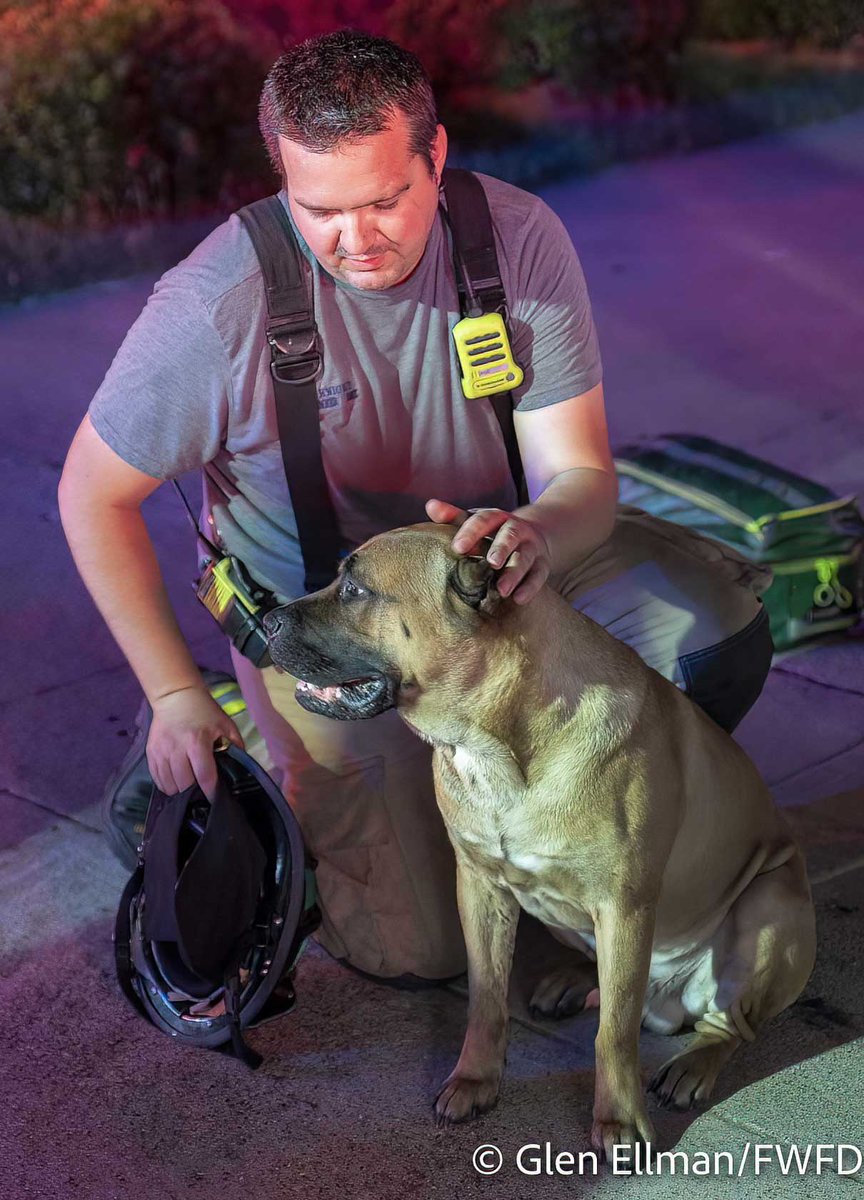 At 3:30AM, FWFD responded to a house fire in the 7300 block of S. Ridge Trail in FortWorth. E29 was first on scene & saw heavy fire coming from the home. Everyone made it out but the family dog needed immediate medical attention. The dog, named Slime, was unresponsive