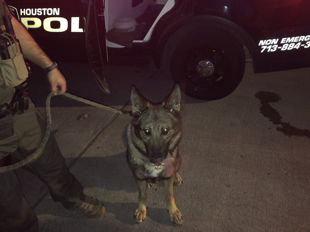 Houston Police:Westside officers, K9 and FOX have a shooting suspect in custody 11700 Dashwood. K9 Fox located suspect hiding in a balcony closet