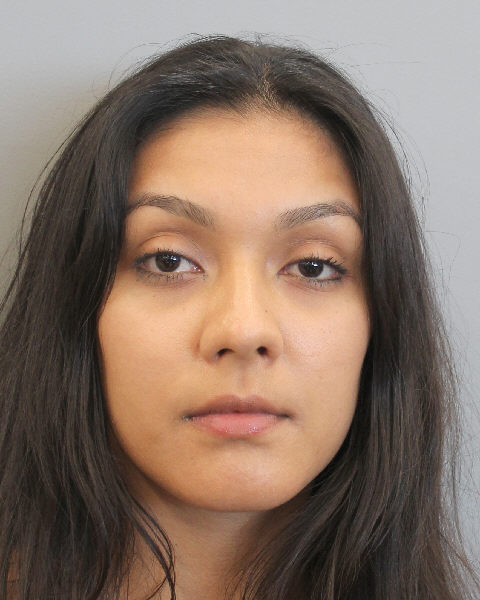 Houston Police:ARRESTED:  Elvia Y. Castillo Martinez, 22, is charged with intoxication manslaughter in Saturday morning's (July 16) crash at 7000 Beechnut Street.