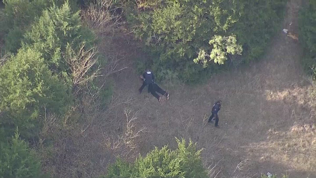 1 in custody after wild police chase in SE Dallas County