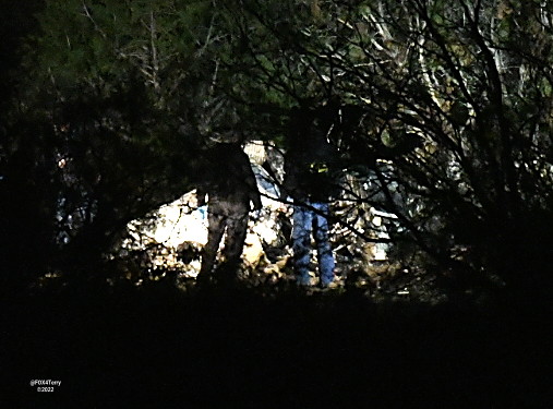 Investigators are working through the night to learn what led to a deadly plane crash in Cleburne. 