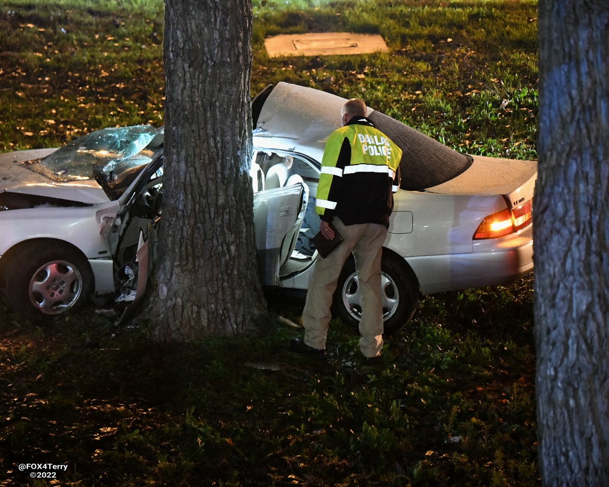 A woman is dead after a crash along S RL Thornton Frwy near Ann Arbor Ave. 