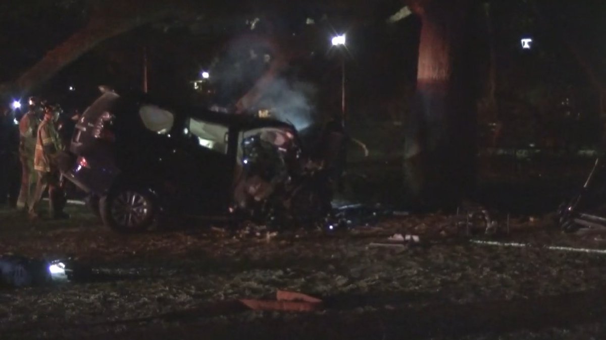 Two people are dead after driving directly into a tree after reaching a dead-end at a downtown park, according to Houston police