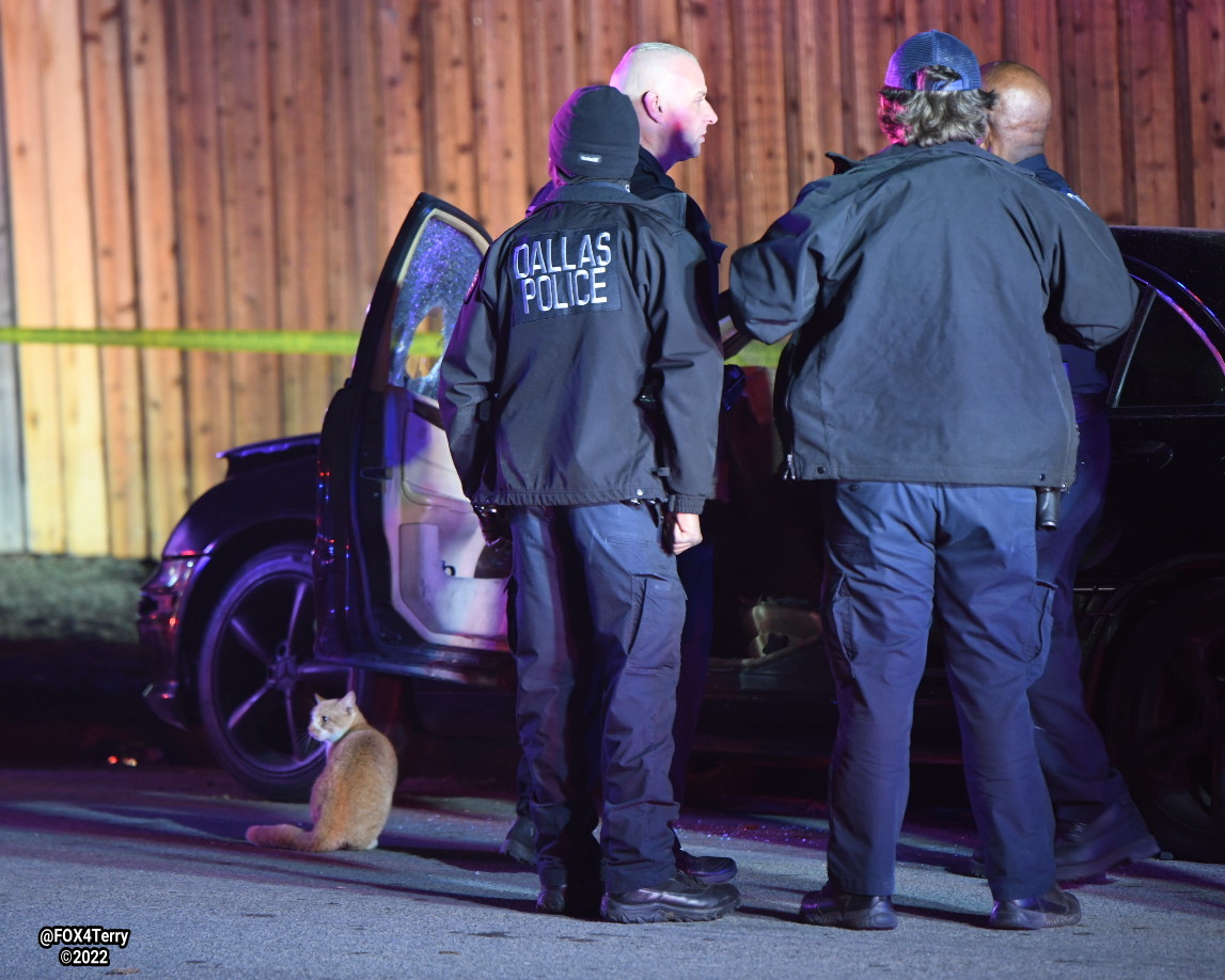 Homicide detectives on scene of a deadly shooting along Ferguson Rd in Far East Dallas.  