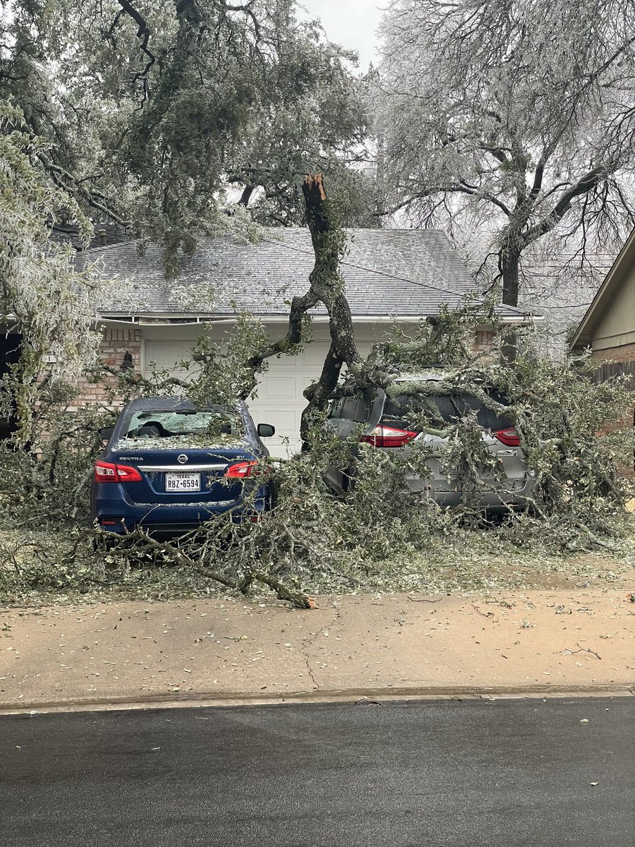 Pictures from  home turf in north Austin near the Domain. Entire trees coming down, branches crushing cars