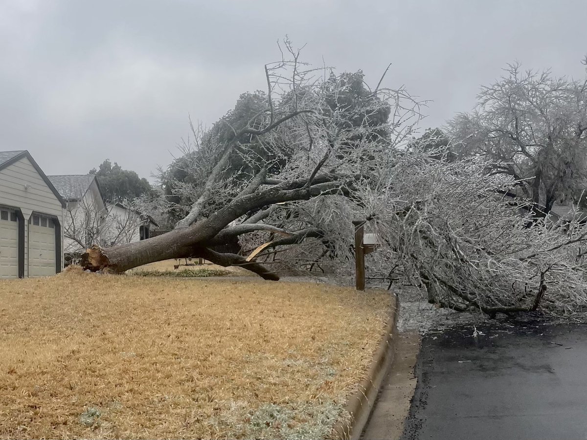 Pictures from  home turf in north Austin near the Domain. Entire trees coming down, branches crushing cars