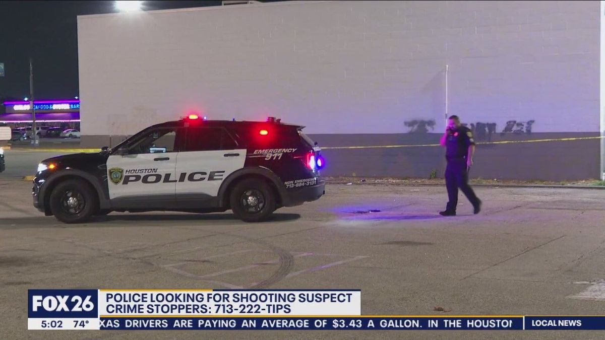 Police seek answers in Gulf Freeway shooter