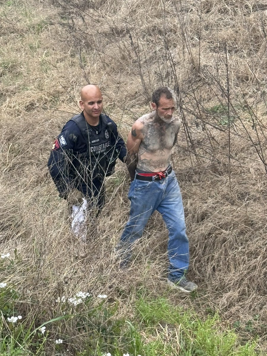 Constable Deputies have an adult male in custody following a traffic stop on a stolen vehicle at Reynaldo and Sandpiper Trail. The male refused to stop, leading deputies on a pursuit. After a brief foot pursuit, he was located and apprehended by a Constable Canine