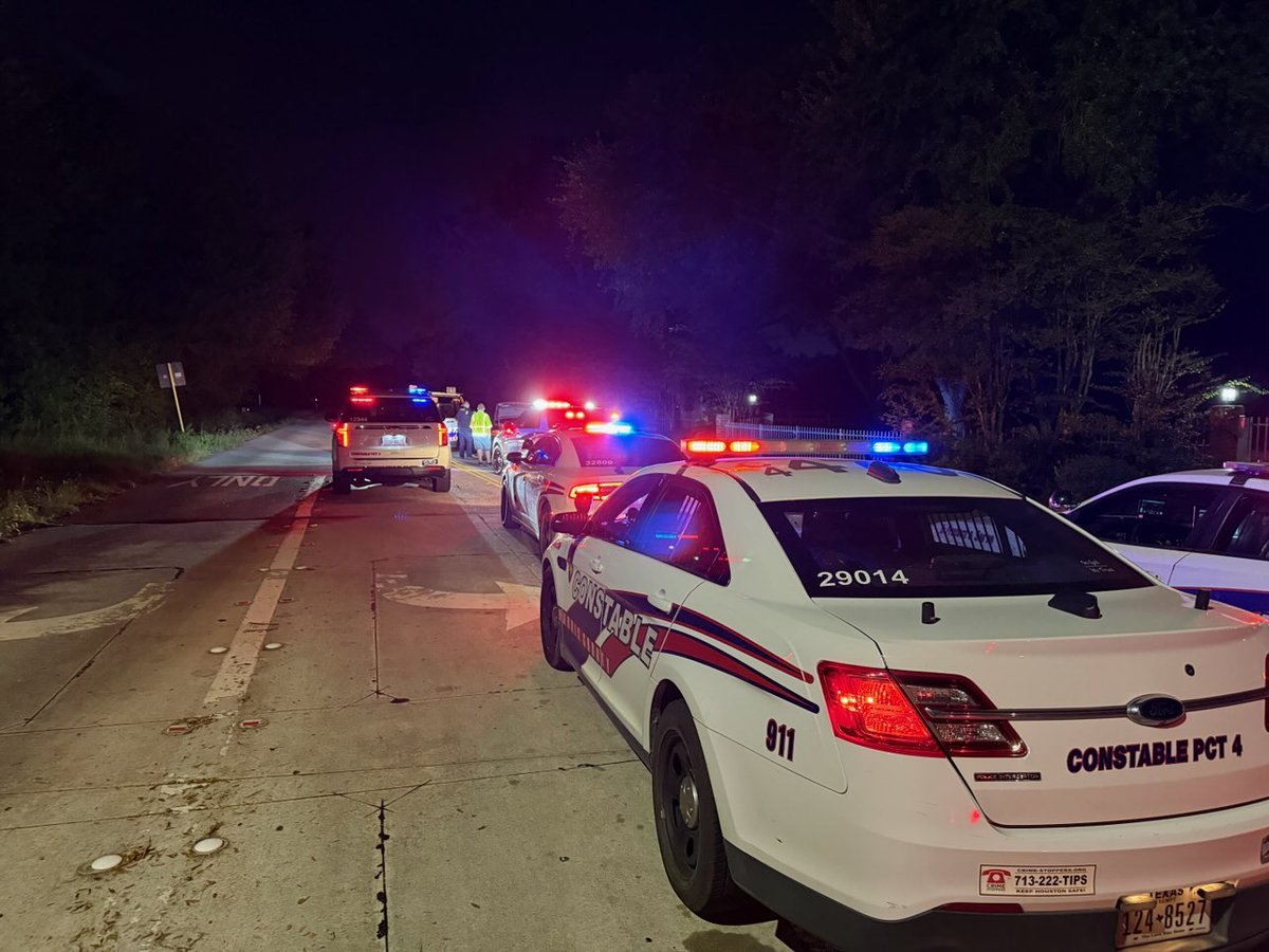 Deputy Constable S. Johnson has one suspect in custody for suspicion of DWI at 17700 QUEENSLAKE DR.  