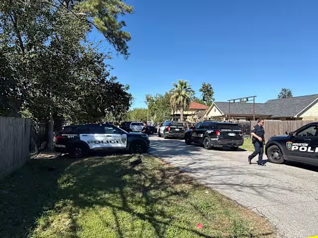 Man shot, killed by HPD after firing rifle in Northeast HoustonHouston police say officers opened fire after a 29-year-old man shot an AR-15 in a neighborhood near Hartwick and Maple Leaf.He died at the scene.