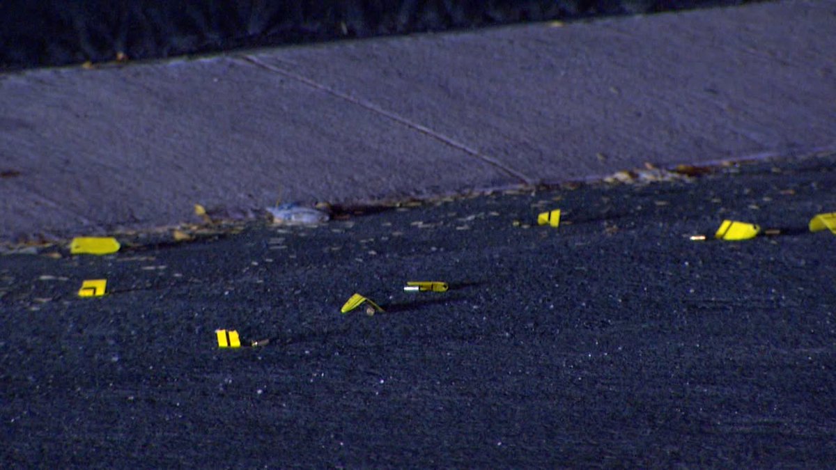 Woman shot and killed in her driveway on Northwest Side