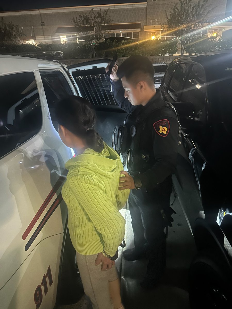 Deputy Perez responded to a disturbance at 11700 Forest Wind Ln. One suspect was detained and taken into custody for assault