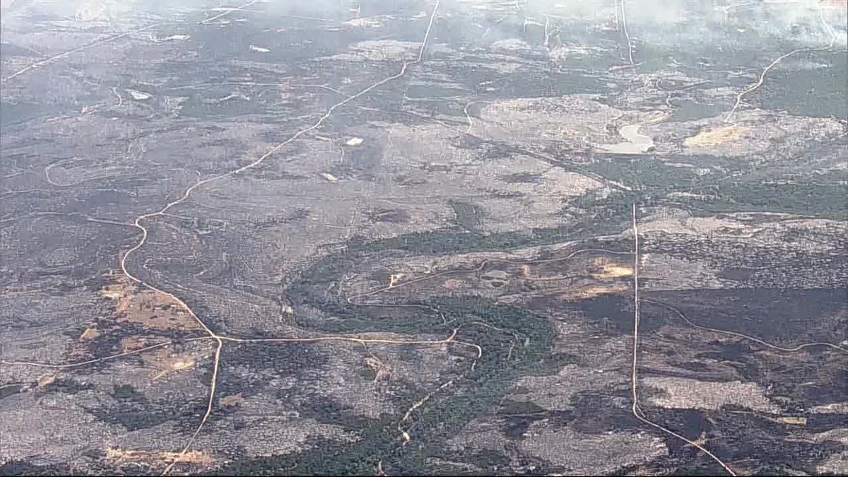 Here's what it looks like right now out in Palo Pinto County where a wildfire has already burned more than 50,000 acres. 